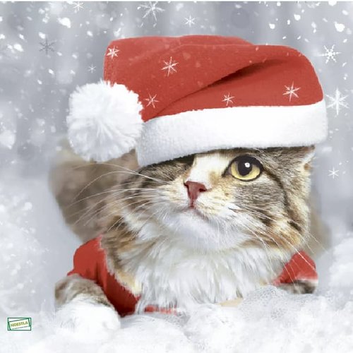 2 serviettes papier - chats -58