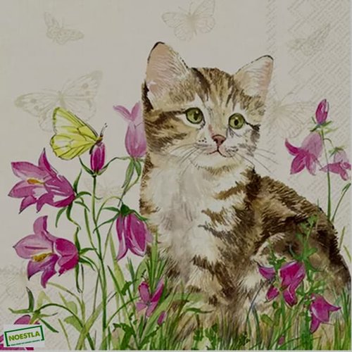 2 serviettes papier - chats -61