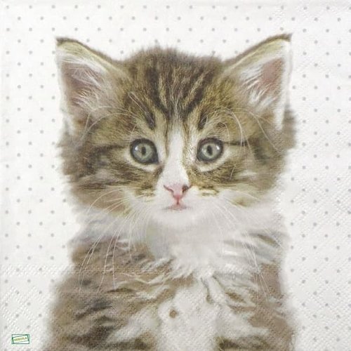 2 serviettes papier - chats -63