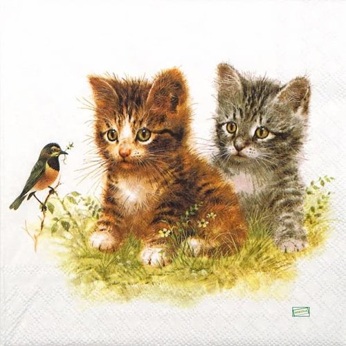 2 serviettes papier - chats -72