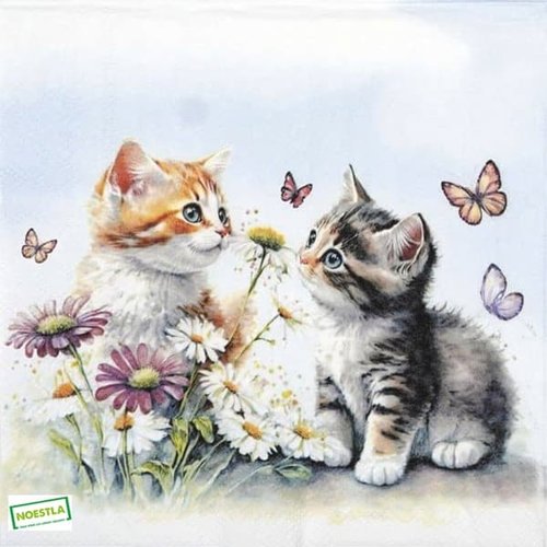 2 serviettes papier - chats -89