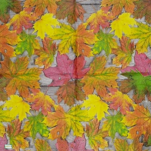 2 serviettes papier - feuillages -44