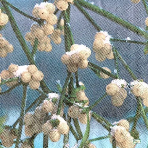 2 serviettes papier - noêl - 51