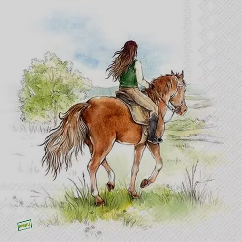 2 serviettes papier - divers -10