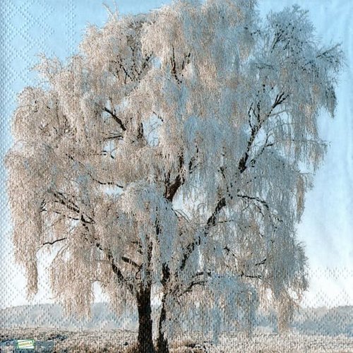 2 serviettes papier - paysage de neige- 69