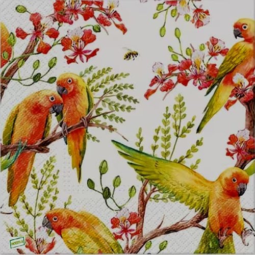 2 serviettes papier - oiseaux-9