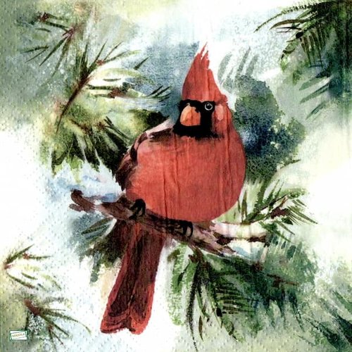 2 serviettes papier - oiseaux-10