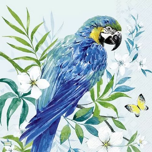 2 serviettes papier - oiseaux-22