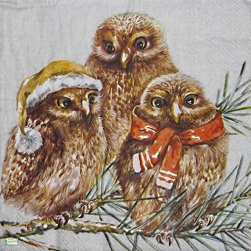 2 serviettes papier - oiseaux-23