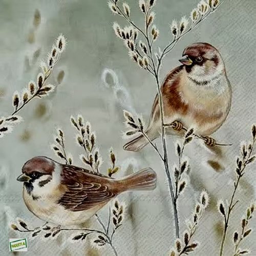 2 serviettes papier - oiseaux-25