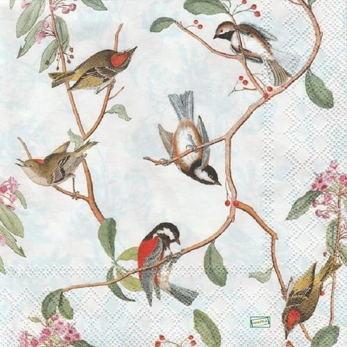 2 serviettes papier - oiseaux-31
