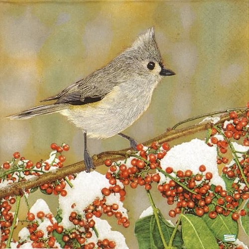 2 serviettes papier - oiseaux-33