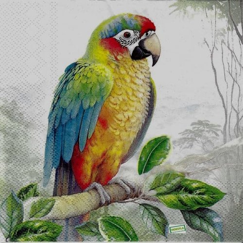 2 serviettes papier - oiseaux-35