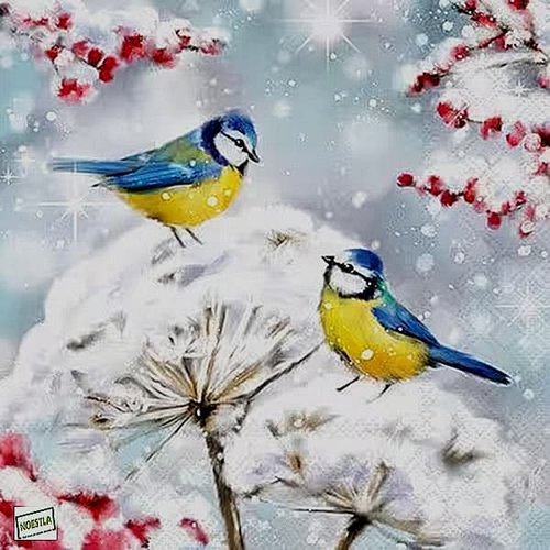 2 serviettes papier - oiseaux-36