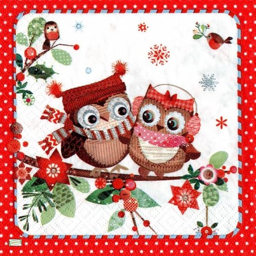 2 serviettes papier - oiseaux-39