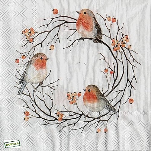 2 serviettes papier - oiseaux-41