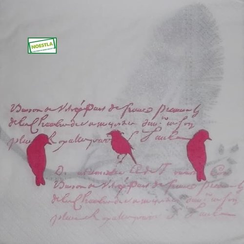 2 serviettes papier - oiseaux-46