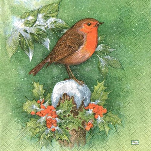 2 serviettes papier - oiseaux-47