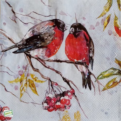 2 serviettes papier - oiseaux-56