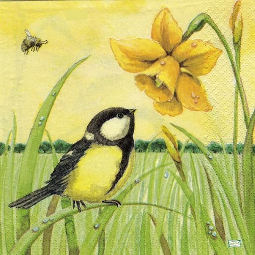 2 serviettes papier - oiseaux-62