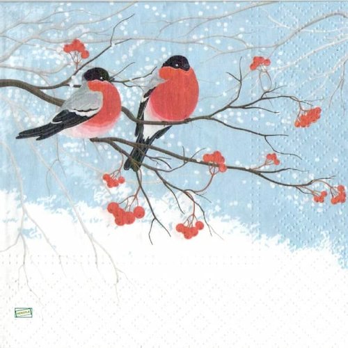 2 serviettes papier - oiseaux-64