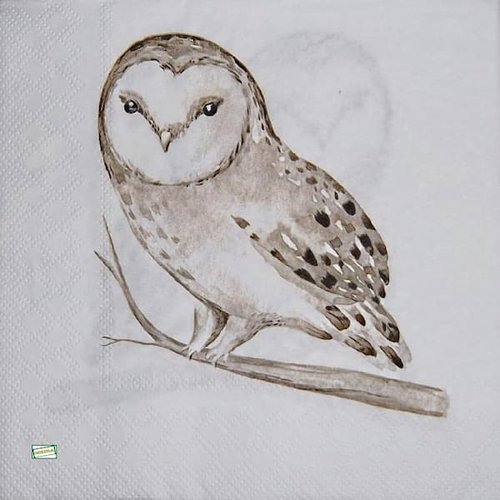 2 serviettes papier - oiseaux-66