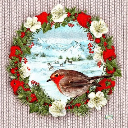 2 serviettes papier - oiseaux-72