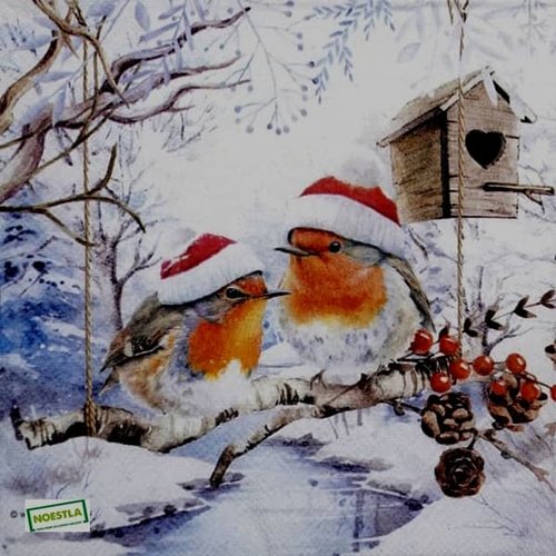 2 serviettes papier - oiseaux-75