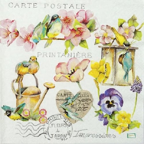 2 serviettes papier - oiseaux-78