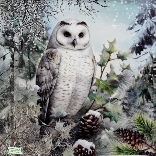 2 serviettes papier - oiseaux-79