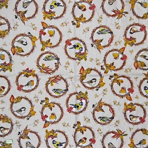 2 serviettes papier - oiseaux-82