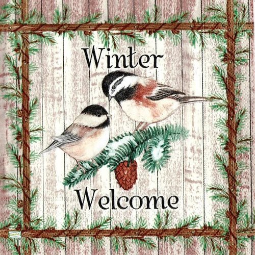 2 serviettes papier - oiseaux-86