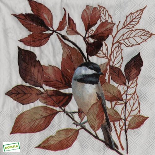 2 serviettes papier - oiseaux-87