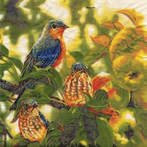 2 serviettes papier - oiseaux-89