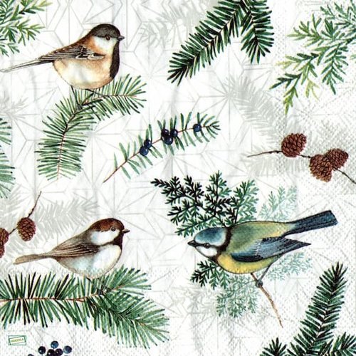 2 serviettes papier - oiseaux-90