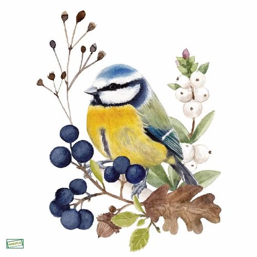 2 serviettes papier - oiseaux-102