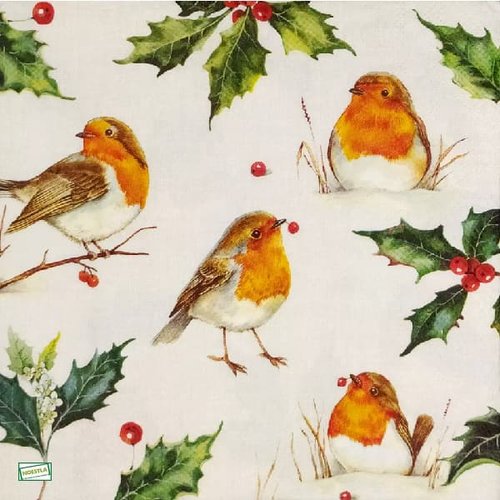 2 serviettes papier - oiseaux-103