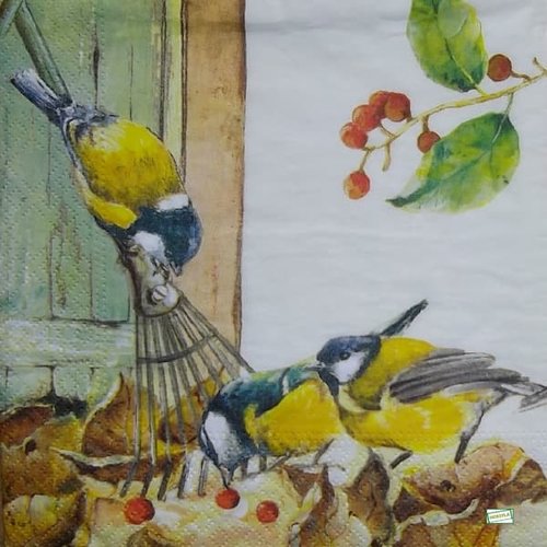 2 serviettes papier - oiseaux-107