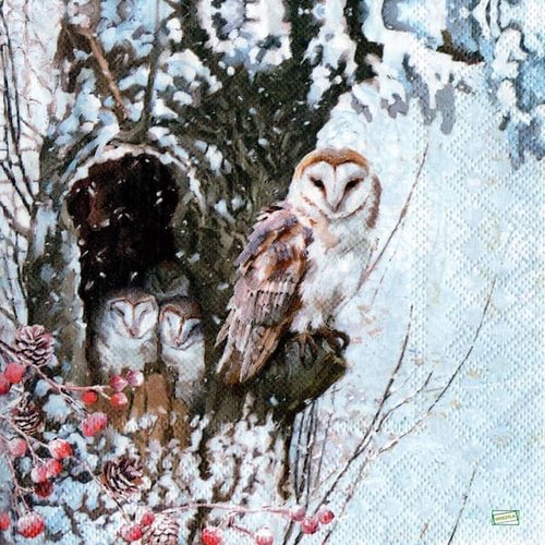 2 serviettes papier - oiseaux-110