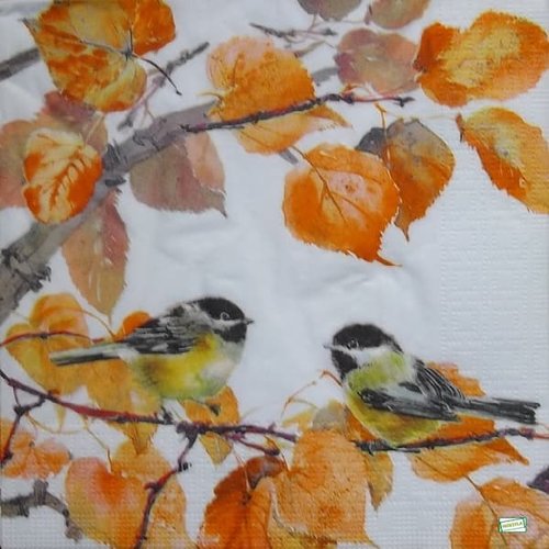 2 serviettes papier - oiseaux-115