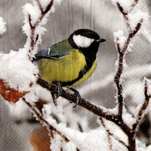 2 serviettes papier - oiseaux-129