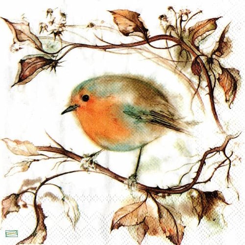 2 serviettes papier - oiseaux-134