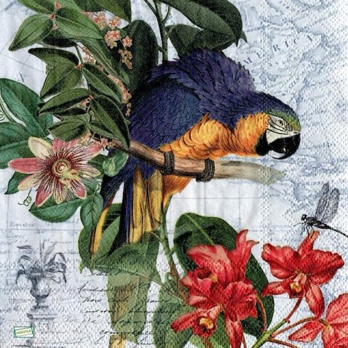 2 serviettes papier - oiseaux-157