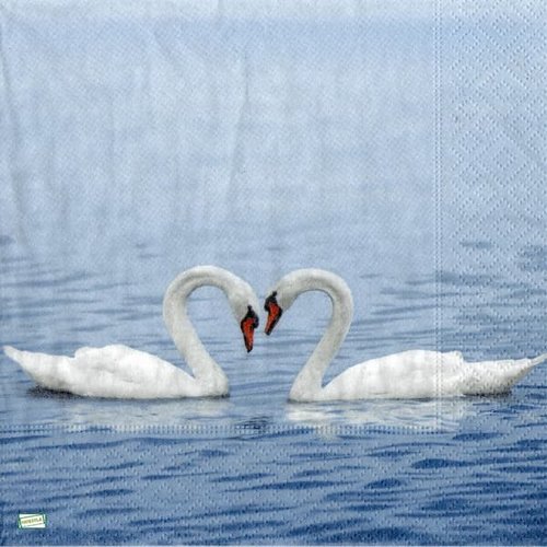 2 serviettes papier - oiseaux-160