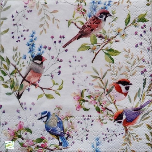 2 serviettes papier - oiseaux-77