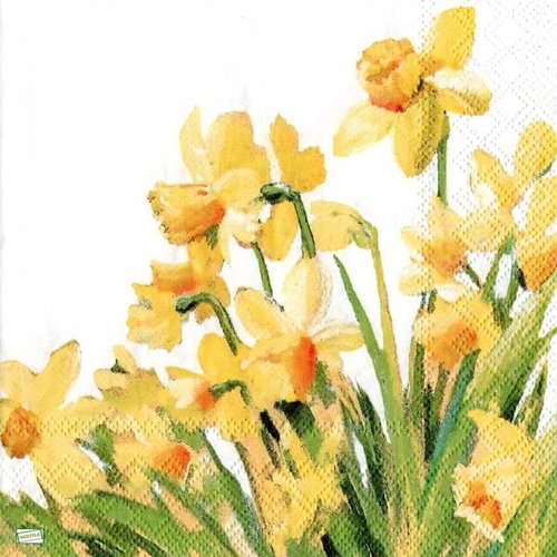 2 serviettes papier - tulipes jonquilles -9