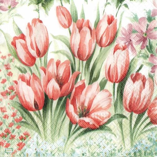 2 serviettes papier - tulipes jonquilles -26
