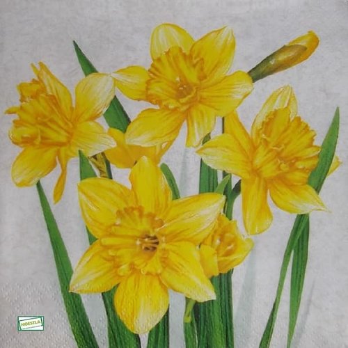 2 serviettes papier - tulipes jonquilles -28