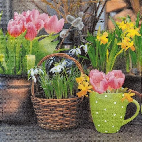 2 serviettes papier - tulipes jonquilles -43