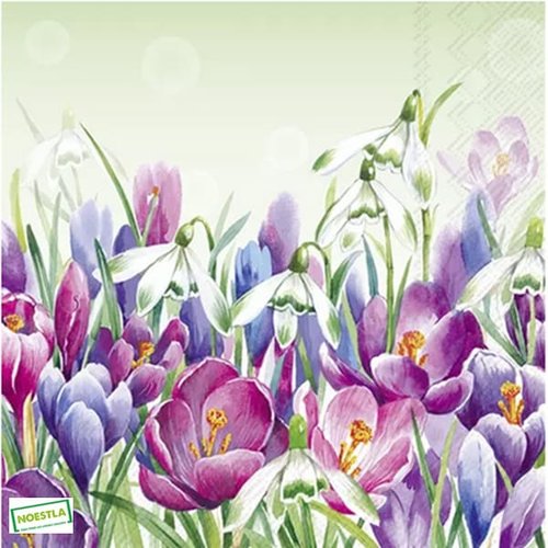 2 serviettes papier - tulipes jonquilles -46